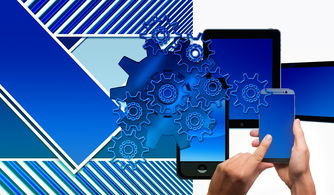 爱游戏体育官方网站-中国篮球联赛品牌建设及粉丝经济研究,国内篮球职业联赛