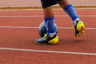 爱游戏综合娱乐-中国青少年篮球运动员体能素质发展规律，我国篮球青少年运动发展现状