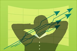 AYX GAME-体育场馆环境优化与管理策略,体育场馆规划布局例子