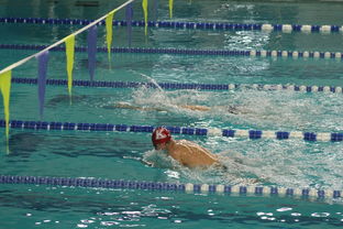 AYX SPORTS-全国青少年游泳接力赛福建队勇夺桂冠,中国游泳接力赛获得金牌视频